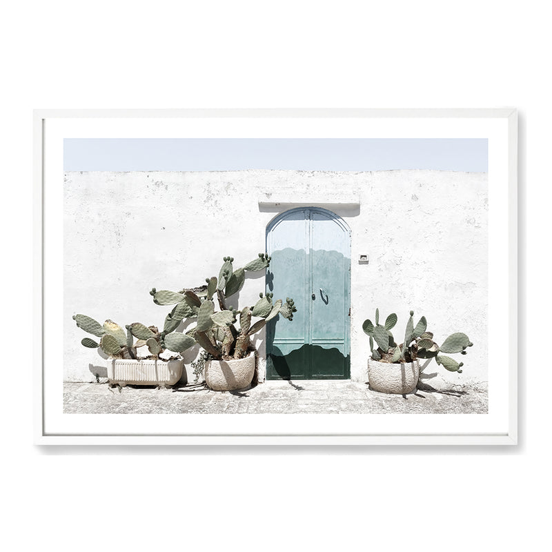 White Cactus House