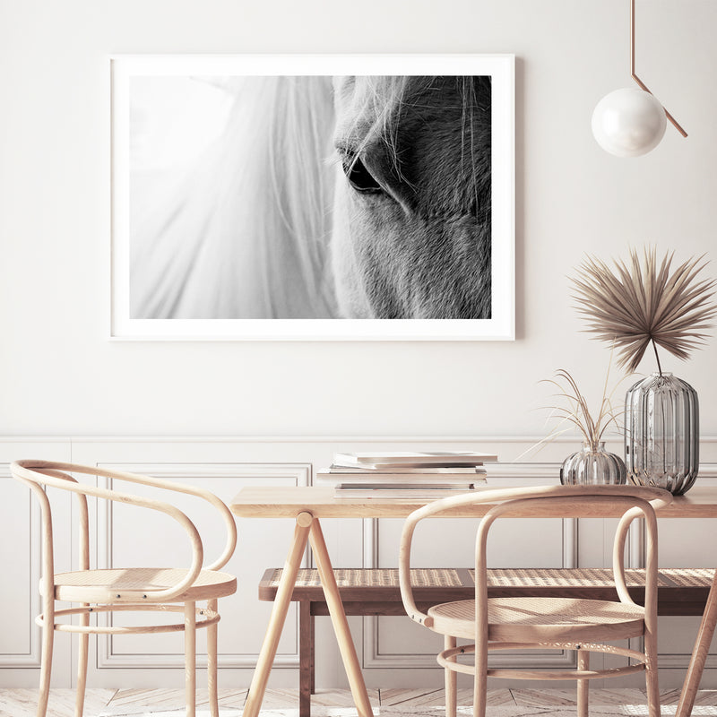 White Horse Portrait