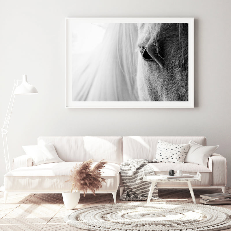 White Horse Portrait