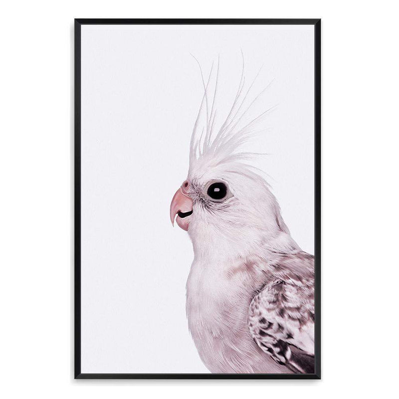 Coco The Cockatiel-The Paper Tree-Artwork,BIRD,Birds,blue bird,blue parrot,budgerigar,budgie,cockatiel,cockatiels,cockatoo,colourful Bird,hamptons,neutral,painted bird,parrot,parrots,portait,premium art print,wall art,Wall_Art,Wall_Art_Prints