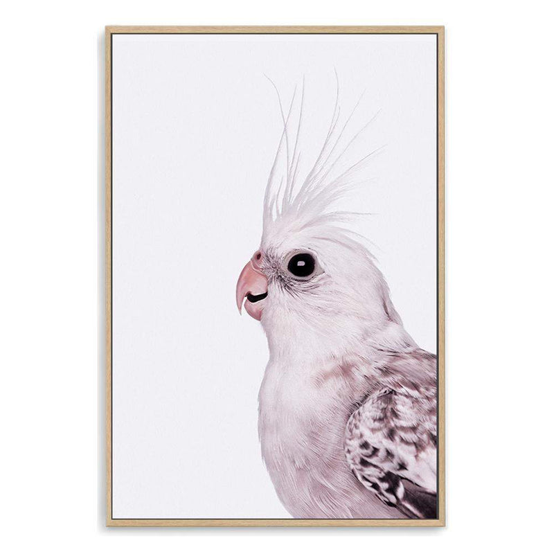 Coco The Cockatiel-The Paper Tree-Artwork,BIRD,Birds,blue bird,blue parrot,budgerigar,budgie,cockatiel,cockatiels,cockatoo,colourful Bird,hamptons,neutral,painted bird,parrot,parrots,portait,premium art print,wall art,Wall_Art,Wall_Art_Prints