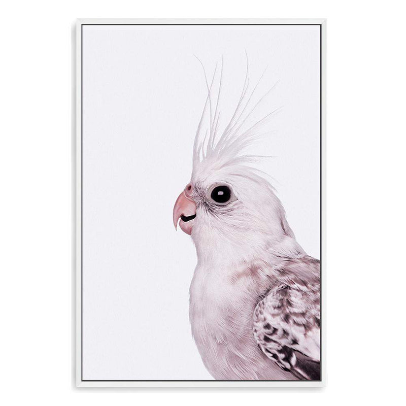 Coco The Cockatiel-The Paper Tree-Artwork,BIRD,Birds,blue bird,blue parrot,budgerigar,budgie,cockatiel,cockatiels,cockatoo,colourful Bird,hamptons,neutral,painted bird,parrot,parrots,portait,premium art print,wall art,Wall_Art,Wall_Art_Prints