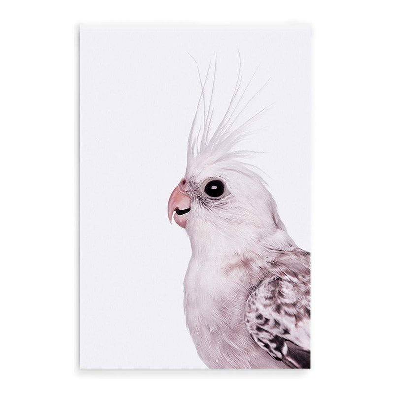 Coco The Cockatiel-The Paper Tree-Artwork,BIRD,Birds,blue bird,blue parrot,budgerigar,budgie,cockatiel,cockatiels,cockatoo,colourful Bird,hamptons,neutral,painted bird,parrot,parrots,portait,premium art print,wall art,Wall_Art,Wall_Art_Prints