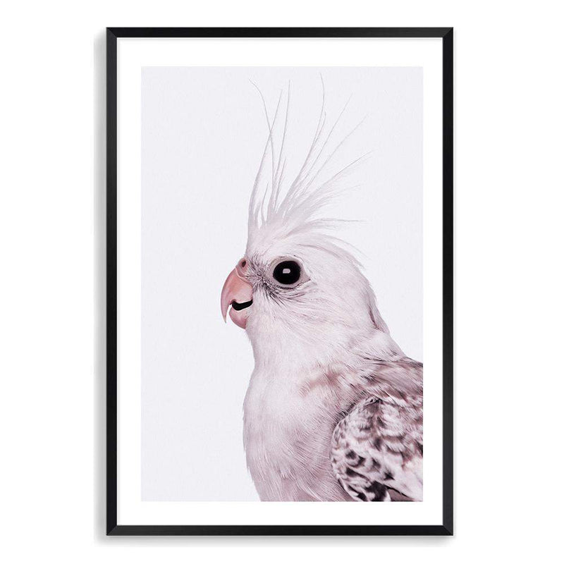 Coco The Cockatiel-The Paper Tree-Artwork,BIRD,Birds,blue bird,blue parrot,budgerigar,budgie,cockatiel,cockatiels,cockatoo,colourful Bird,hamptons,neutral,painted bird,parrot,parrots,portait,premium art print,wall art,Wall_Art,Wall_Art_Prints