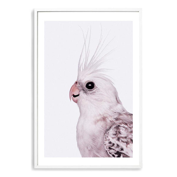 Coco The Cockatiel-The Paper Tree-Artwork,BIRD,Birds,blue bird,blue parrot,budgerigar,budgie,cockatiel,cockatiels,cockatoo,colourful Bird,hamptons,neutral,painted bird,parrot,parrots,portait,premium art print,wall art,Wall_Art,Wall_Art_Prints