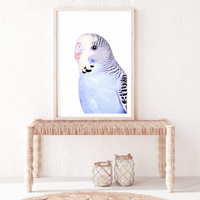 Bertie The Budgerigar-The Paper Tree-Artwork,BIRD,Birds,blue,blue bird,blue budgerigar,blue budgie,blue parrot,budgerigar,budgie,cockatiel,cockatoo,colourful Bird,painted bird,parrot,parrots,portrait,premium art print,wall art,Wall_Art,Wall_Art_Prints