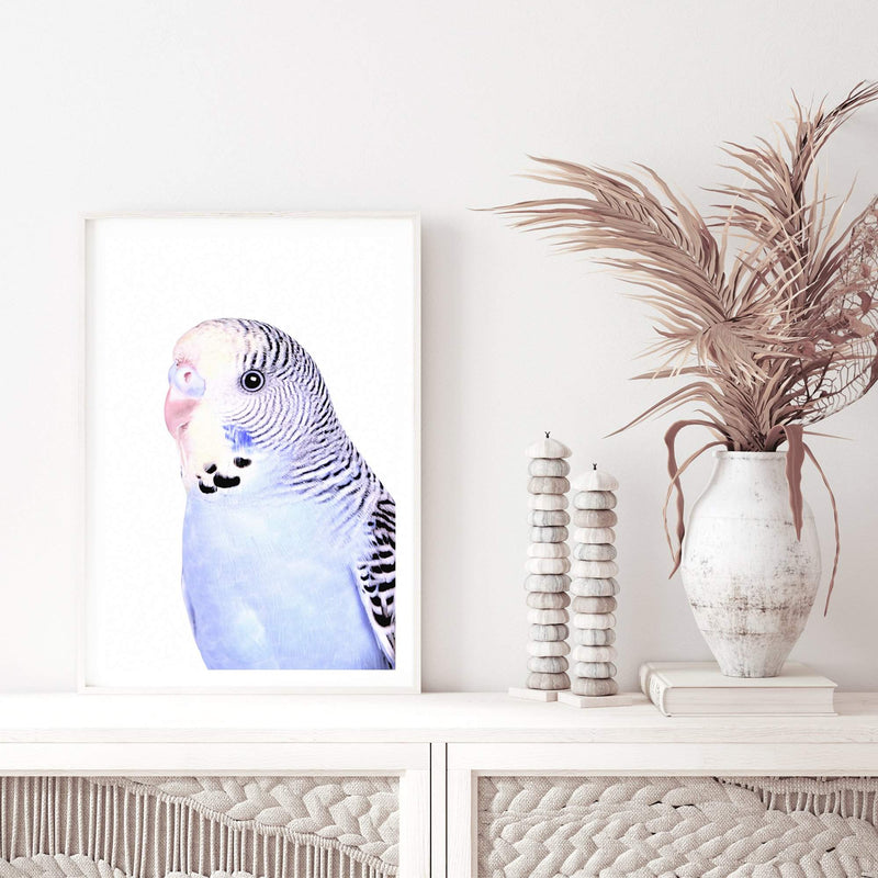 Bertie The Budgerigar-The Paper Tree-Artwork,BIRD,Birds,blue,blue bird,blue budgerigar,blue budgie,blue parrot,budgerigar,budgie,cockatiel,cockatoo,colourful Bird,painted bird,parrot,parrots,portrait,premium art print,wall art,Wall_Art,Wall_Art_Prints