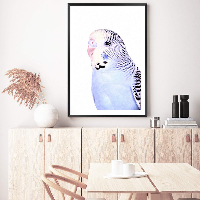 Bertie The Budgerigar-The Paper Tree-Artwork,BIRD,Birds,blue,blue bird,blue budgerigar,blue budgie,blue parrot,budgerigar,budgie,cockatiel,cockatoo,colourful Bird,painted bird,parrot,parrots,portrait,premium art print,wall art,Wall_Art,Wall_Art_Prints