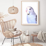 Bertie The Budgerigar-The Paper Tree-Artwork,BIRD,Birds,blue,blue bird,blue budgerigar,blue budgie,blue parrot,budgerigar,budgie,cockatiel,cockatoo,colourful Bird,painted bird,parrot,parrots,portrait,premium art print,wall art,Wall_Art,Wall_Art_Prints