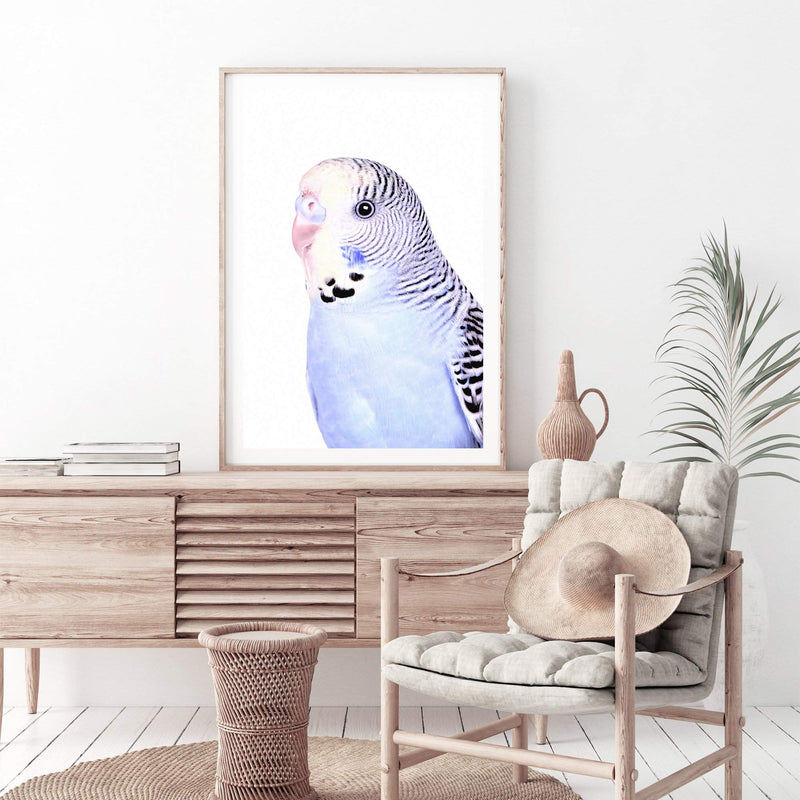 Bertie The Budgerigar-The Paper Tree-Artwork,BIRD,Birds,blue,blue bird,blue budgerigar,blue budgie,blue parrot,budgerigar,budgie,cockatiel,cockatoo,colourful Bird,painted bird,parrot,parrots,portrait,premium art print,wall art,Wall_Art,Wall_Art_Prints