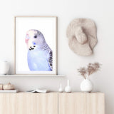 Bertie The Budgerigar-The Paper Tree-Artwork,BIRD,Birds,blue,blue bird,blue budgerigar,blue budgie,blue parrot,budgerigar,budgie,cockatiel,cockatoo,colourful Bird,painted bird,parrot,parrots,portrait,premium art print,wall art,Wall_Art,Wall_Art_Prints