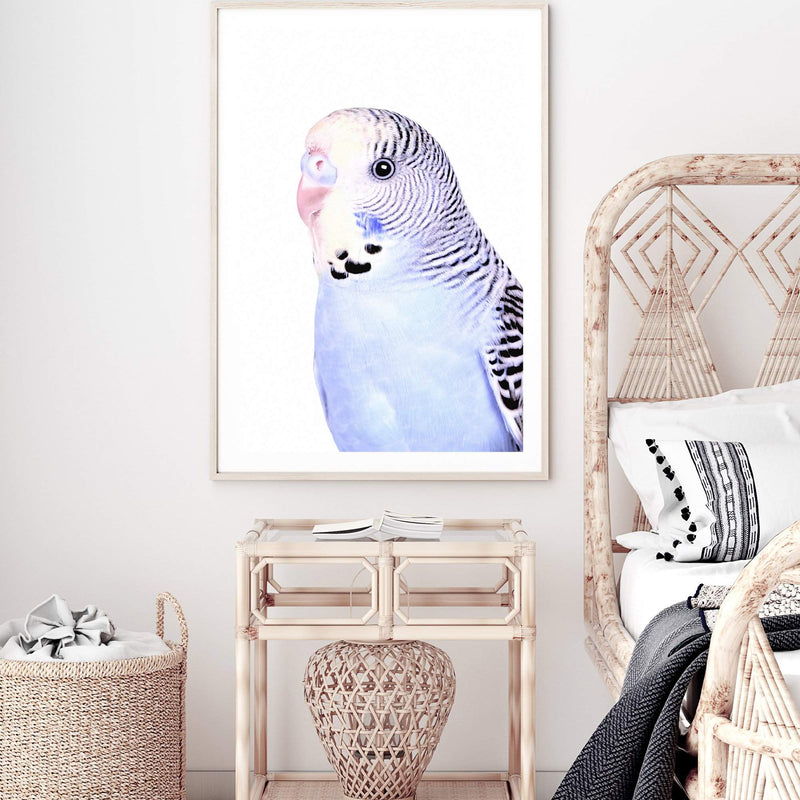 Bertie The Budgerigar-The Paper Tree-Artwork,BIRD,Birds,blue,blue bird,blue budgerigar,blue budgie,blue parrot,budgerigar,budgie,cockatiel,cockatoo,colourful Bird,painted bird,parrot,parrots,portrait,premium art print,wall art,Wall_Art,Wall_Art_Prints