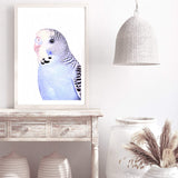 Bertie The Budgerigar-The Paper Tree-Artwork,BIRD,Birds,blue,blue bird,blue budgerigar,blue budgie,blue parrot,budgerigar,budgie,cockatiel,cockatoo,colourful Bird,painted bird,parrot,parrots,portrait,premium art print,wall art,Wall_Art,Wall_Art_Prints