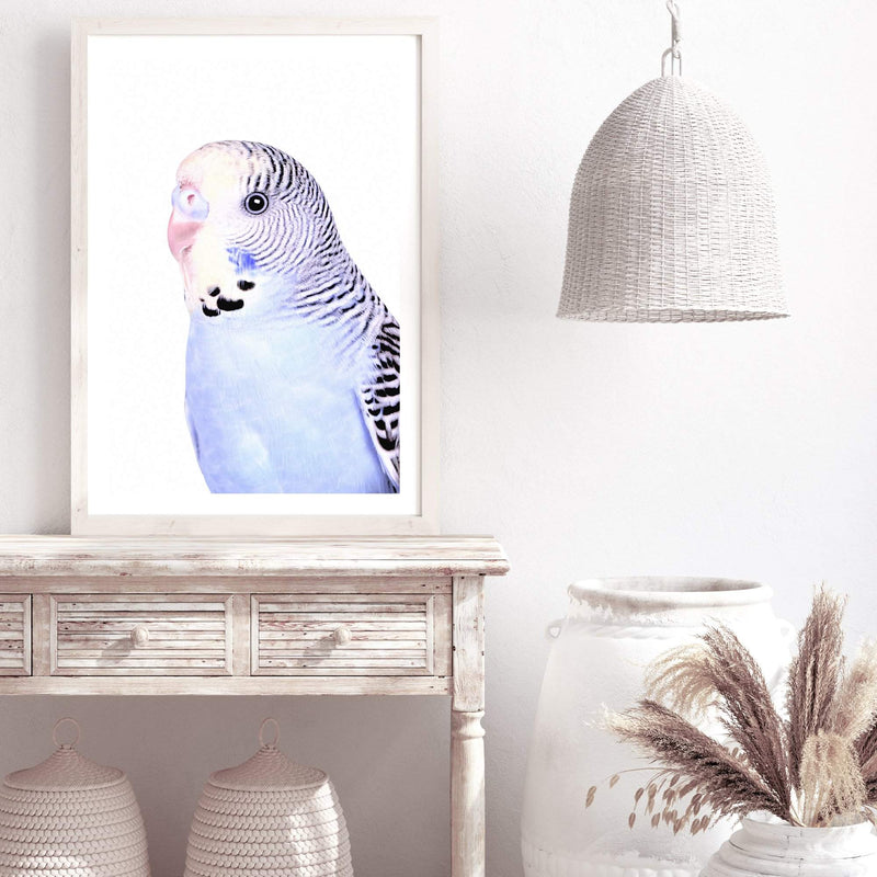 Bertie The Budgerigar-The Paper Tree-Artwork,BIRD,Birds,blue,blue bird,blue budgerigar,blue budgie,blue parrot,budgerigar,budgie,cockatiel,cockatoo,colourful Bird,painted bird,parrot,parrots,portrait,premium art print,wall art,Wall_Art,Wall_Art_Prints