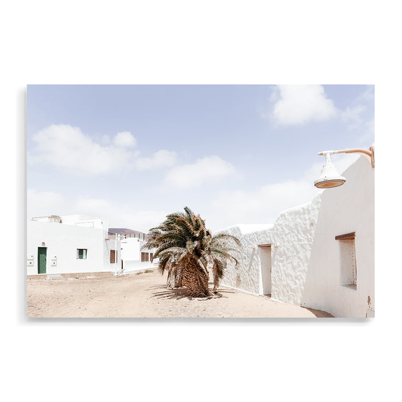 White House | Caleta De Sabo