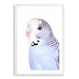 Bertie The Budgerigar-The Paper Tree-Artwork,BIRD,Birds,blue,blue bird,blue budgerigar,blue budgie,blue parrot,budgerigar,budgie,cockatiel,cockatoo,colourful Bird,painted bird,parrot,parrots,portrait,premium art print,wall art,Wall_Art,Wall_Art_Prints