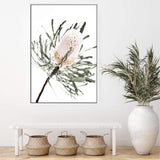 Australian Native Banksia Floral-The Paper Tree-australia,australian,australian art,australian native,australiana,Banksia,Banksia flower,floral,flower,flowers,green,hamptons,muted tone,native,native flower,native flowers,neutral,portrait,premium art print,wall art,Wall_Art,Wall_Art_Prints,yellow