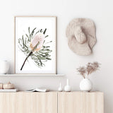 Australian Native Banksia Floral-The Paper Tree-australia,australian,australian art,australian native,australiana,Banksia,Banksia flower,floral,flower,flowers,green,hamptons,muted tone,native,native flower,native flowers,neutral,portrait,premium art print,wall art,Wall_Art,Wall_Art_Prints,yellow