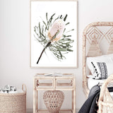 Australian Native Banksia Floral-The Paper Tree-australia,australian,australian art,australian native,australiana,Banksia,Banksia flower,floral,flower,flowers,green,hamptons,muted tone,native,native flower,native flowers,neutral,portrait,premium art print,wall art,Wall_Art,Wall_Art_Prints,yellow