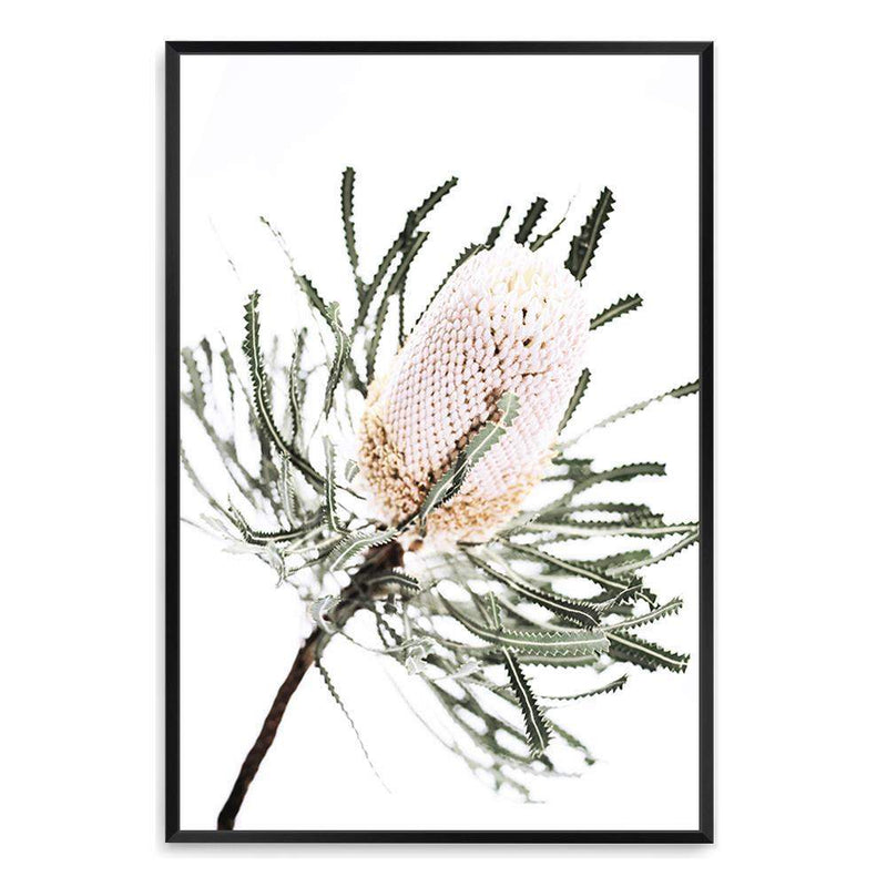 Australian Native Banksia Floral-The Paper Tree-australia,australian,australian art,australian native,australiana,Banksia,Banksia flower,floral,flower,flowers,green,hamptons,muted tone,native,native flower,native flowers,neutral,portrait,premium art print,wall art,Wall_Art,Wall_Art_Prints,yellow