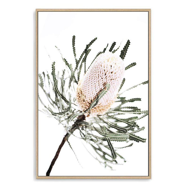 Australian Native Banksia Floral-The Paper Tree-australia,australian,australian art,australian native,australiana,Banksia,Banksia flower,floral,flower,flowers,green,hamptons,muted tone,native,native flower,native flowers,neutral,portrait,premium art print,wall art,Wall_Art,Wall_Art_Prints,yellow