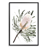 Australian Native Banksia Floral-The Paper Tree-australia,australian,australian art,australian native,australiana,Banksia,Banksia flower,floral,flower,flowers,green,hamptons,muted tone,native,native flower,native flowers,neutral,portrait,premium art print,wall art,Wall_Art,Wall_Art_Prints,yellow