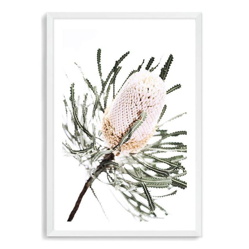 Australian Native Banksia Floral-The Paper Tree-australia,australian,australian art,australian native,australiana,Banksia,Banksia flower,floral,flower,flowers,green,hamptons,muted tone,native,native flower,native flowers,neutral,portrait,premium art print,wall art,Wall_Art,Wall_Art_Prints,yellow