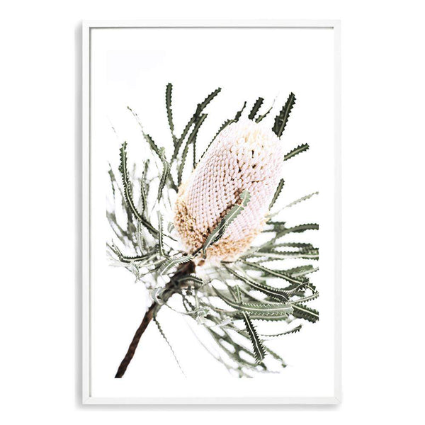 Australian Native Banksia Floral-The Paper Tree-australia,australian,australian art,australian native,australiana,Banksia,Banksia flower,floral,flower,flowers,green,hamptons,muted tone,native,native flower,native flowers,neutral,portrait,premium art print,wall art,Wall_Art,Wall_Art_Prints,yellow