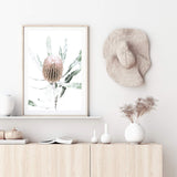 Australian Native Banksia Floral II-The Paper Tree-australia,australian,australian art,Australian Native,australiana,Banksia,Banksia flower,floral,flower,flowers,green,hamptons,muted tone,native,native flower,Native Flowers,neutral,portrait,premium art print,wall art,Wall_Art,Wall_Art_Prints,yellow