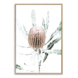 Australian Native Banksia Floral II-The Paper Tree-australia,australian,australian art,Australian Native,australiana,Banksia,Banksia flower,floral,flower,flowers,green,hamptons,muted tone,native,native flower,Native Flowers,neutral,portrait,premium art print,wall art,Wall_Art,Wall_Art_Prints,yellow