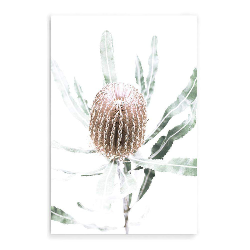 Australian Native Banksia Floral II-The Paper Tree-australia,australian,australian art,Australian Native,australiana,Banksia,Banksia flower,floral,flower,flowers,green,hamptons,muted tone,native,native flower,Native Flowers,neutral,portrait,premium art print,wall art,Wall_Art,Wall_Art_Prints,yellow