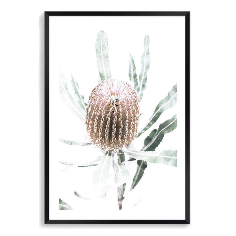 Australian Native Banksia Floral II-The Paper Tree-australia,australian,australian art,Australian Native,australiana,Banksia,Banksia flower,floral,flower,flowers,green,hamptons,muted tone,native,native flower,Native Flowers,neutral,portrait,premium art print,wall art,Wall_Art,Wall_Art_Prints,yellow