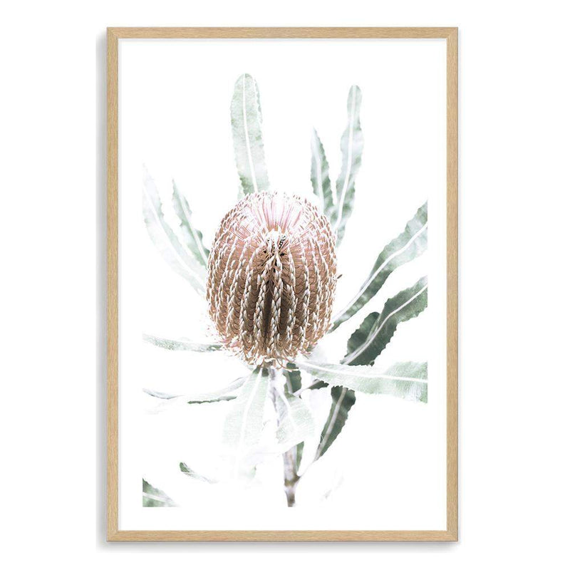 Australian Native Banksia Floral II-The Paper Tree-australia,australian,australian art,Australian Native,australiana,Banksia,Banksia flower,floral,flower,flowers,green,hamptons,muted tone,native,native flower,Native Flowers,neutral,portrait,premium art print,wall art,Wall_Art,Wall_Art_Prints,yellow