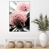 Australian Native Waratah Flower II-The Paper Tree-australia,australian,australian native,australiana,Floral,flower,flowers,green,muted tone,native,portrait,premium art print,red,wall art,Wall_Art,Wall_Art_Prints,waratah,waratah flower