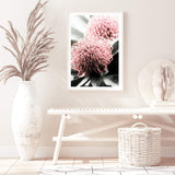 Australian Native Waratah Flower II-The Paper Tree-australia,australian,australian native,australiana,Floral,flower,flowers,green,muted tone,native,portrait,premium art print,red,wall art,Wall_Art,Wall_Art_Prints,waratah,waratah flower