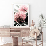 Australian Native Waratah Flower II-The Paper Tree-australia,australian,australian native,australiana,Floral,flower,flowers,green,muted tone,native,portrait,premium art print,red,wall art,Wall_Art,Wall_Art_Prints,waratah,waratah flower