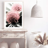 Australian Native Waratah Flower II-The Paper Tree-australia,australian,australian native,australiana,Floral,flower,flowers,green,muted tone,native,portrait,premium art print,red,wall art,Wall_Art,Wall_Art_Prints,waratah,waratah flower