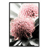 Australian Native Waratah Flower II-The Paper Tree-australia,australian,australian native,australiana,Floral,flower,flowers,green,muted tone,native,portrait,premium art print,red,wall art,Wall_Art,Wall_Art_Prints,waratah,waratah flower