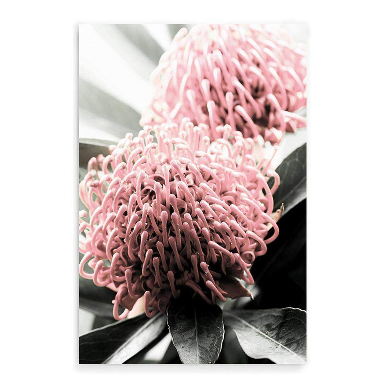 Australian Native Waratah Flower II-The Paper Tree-australia,australian,australian native,australiana,Floral,flower,flowers,green,muted tone,native,portrait,premium art print,red,wall art,Wall_Art,Wall_Art_Prints,waratah,waratah flower