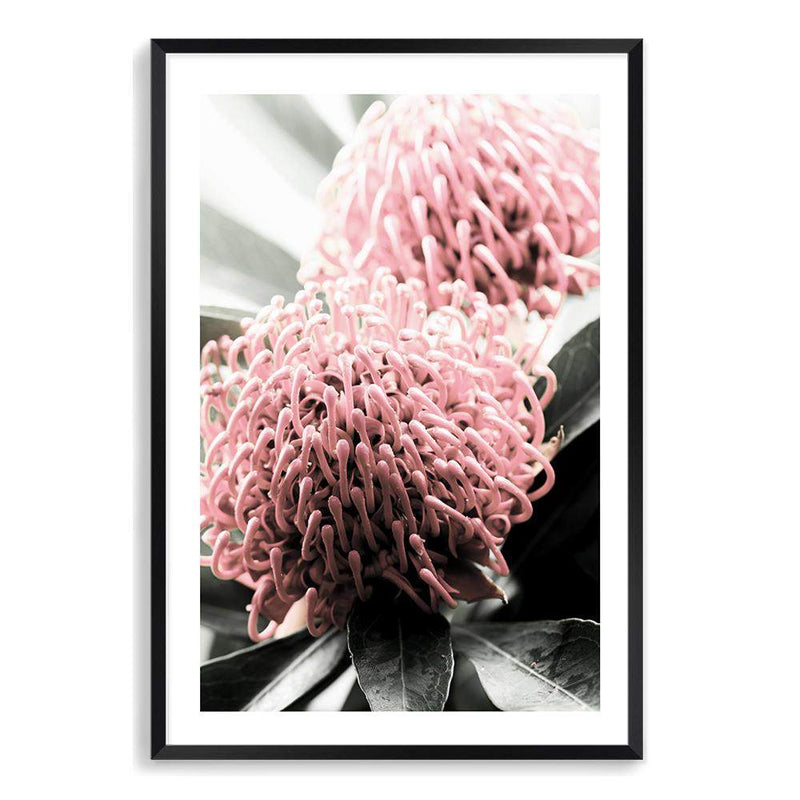 Australian Native Waratah Flower II-The Paper Tree-australia,australian,australian native,australiana,Floral,flower,flowers,green,muted tone,native,portrait,premium art print,red,wall art,Wall_Art,Wall_Art_Prints,waratah,waratah flower