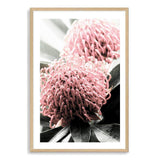 Australian Native Waratah Flower II-The Paper Tree-australia,australian,australian native,australiana,Floral,flower,flowers,green,muted tone,native,portrait,premium art print,red,wall art,Wall_Art,Wall_Art_Prints,waratah,waratah flower