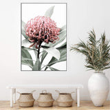 Australian Native Waratah Flower-The Paper Tree-australia,australian,australian native,australiana,floral,flower,flowers,green,muted tone,native,portrait,premium art print,red,wall art,Wall_Art,Wall_Art_Prints,waratah,waratah flower