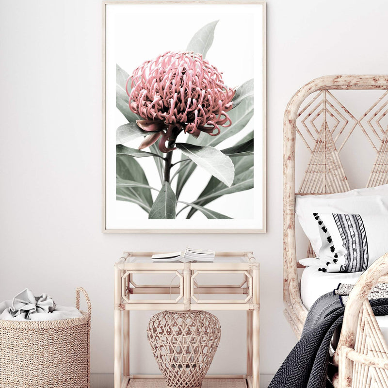 Australian Native Waratah Flower-The Paper Tree-australia,australian,australian native,australiana,floral,flower,flowers,green,muted tone,native,portrait,premium art print,red,wall art,Wall_Art,Wall_Art_Prints,waratah,waratah flower