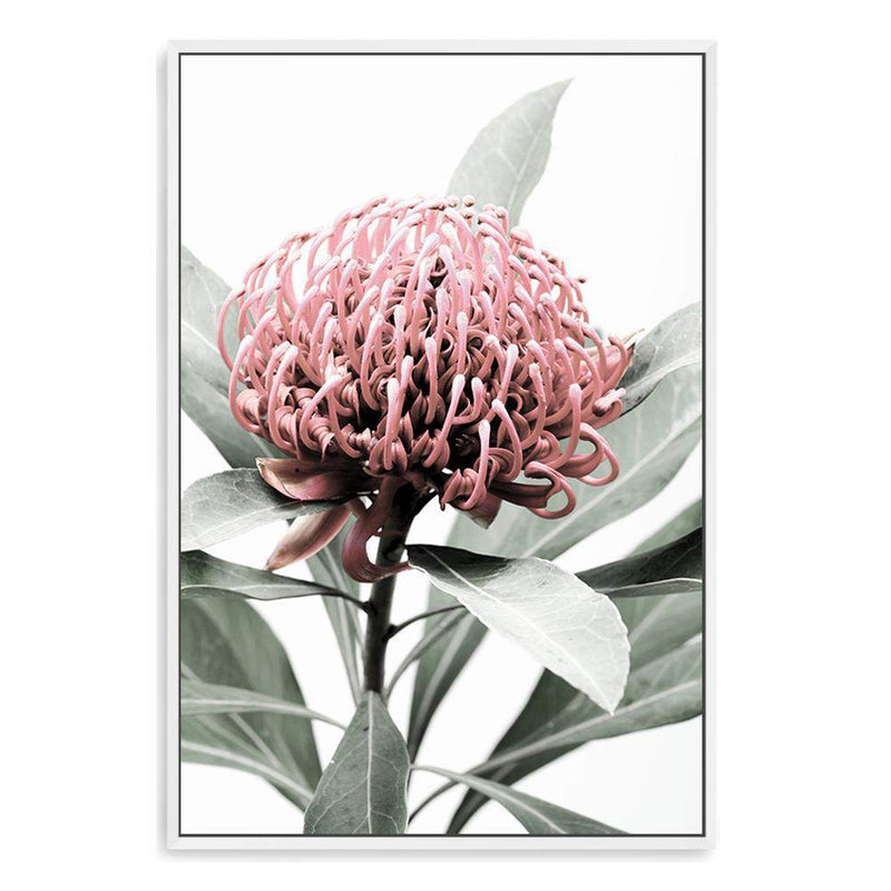 Australian Native Waratah Flower-The Paper Tree-australia,australian,australian native,australiana,floral,flower,flowers,green,muted tone,native,portrait,premium art print,red,wall art,Wall_Art,Wall_Art_Prints,waratah,waratah flower