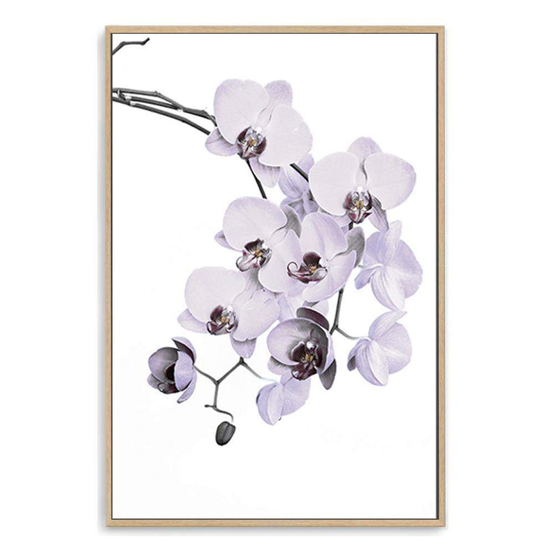 White Orchid Floral-The Paper Tree-floral,flower,flowers,hamptons,neutral,orchid,orchid flower,painted,portrait,premium art print,wall art,Wall_Art,Wall_Art_Prints,WHITE,white flower,white flowers,white orchid