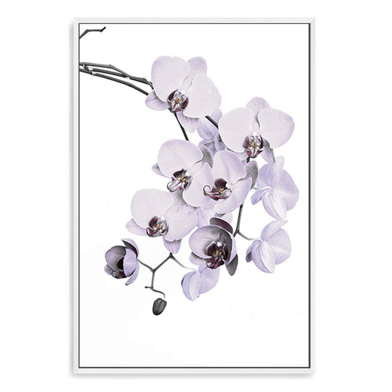 White Orchid Floral-The Paper Tree-floral,flower,flowers,hamptons,neutral,orchid,orchid flower,painted,portrait,premium art print,wall art,Wall_Art,Wall_Art_Prints,WHITE,white flower,white flowers,white orchid