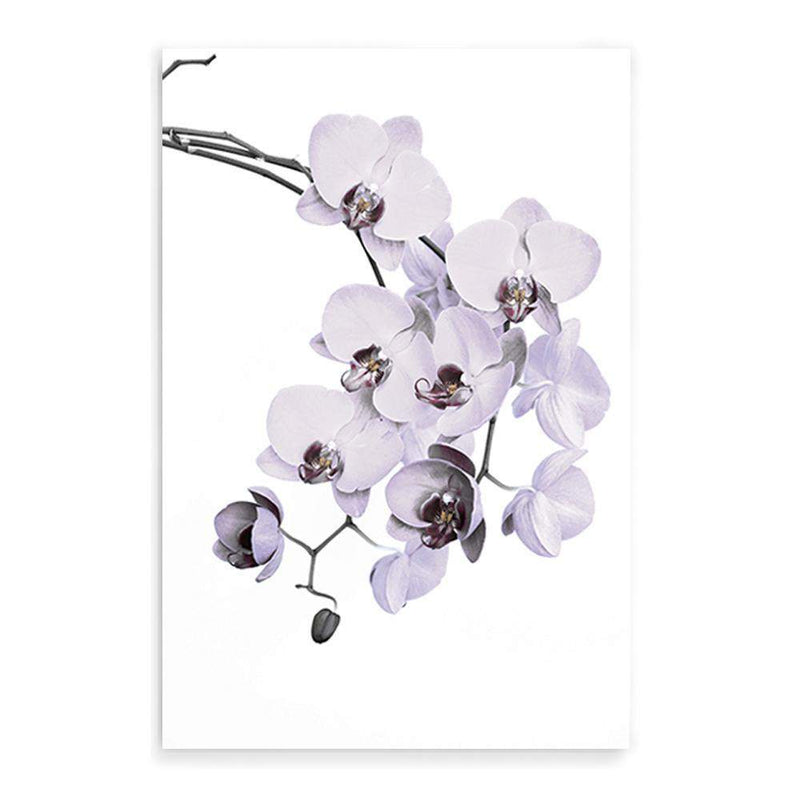 White Orchid Floral-The Paper Tree-floral,flower,flowers,hamptons,neutral,orchid,orchid flower,painted,portrait,premium art print,wall art,Wall_Art,Wall_Art_Prints,WHITE,white flower,white flowers,white orchid