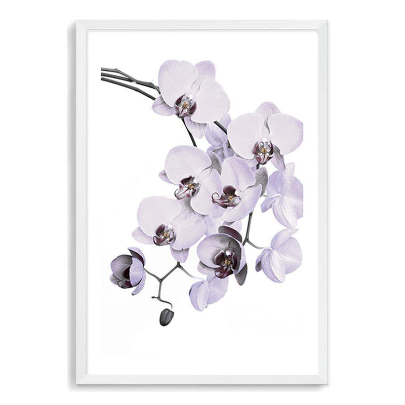 White Orchid Floral-The Paper Tree-floral,flower,flowers,hamptons,neutral,orchid,orchid flower,painted,portrait,premium art print,wall art,Wall_Art,Wall_Art_Prints,WHITE,white flower,white flowers,white orchid