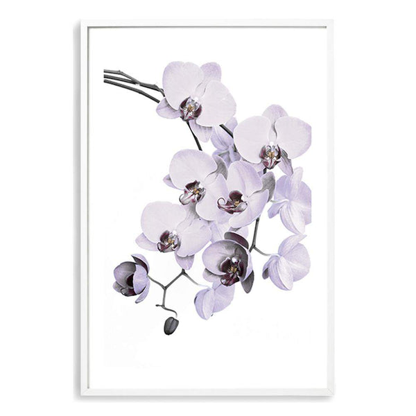 White Orchid Floral-The Paper Tree-floral,flower,flowers,hamptons,neutral,orchid,orchid flower,painted,portrait,premium art print,wall art,Wall_Art,Wall_Art_Prints,WHITE,white flower,white flowers,white orchid