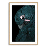 Painted Parrot-The Paper Tree-Artwork,BIRD,Birds,black,blue bird,blue parrot,cockatiel,cockatoo,colourful Bird,feathers,green,hand painted,maccaw,painted bird,parrot,parrots,portrait,premium art print,teal,wall art,Wall_Art,Wall_Art_Prints